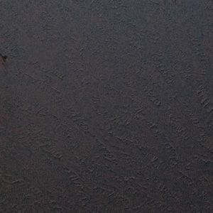 Meet your Posher, Keisha